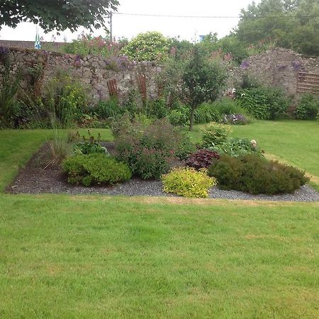 Clochard Bed & Breakfast Galway Exterior photo